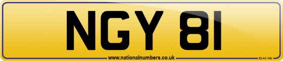 NGY 81