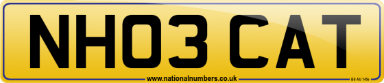 NH03 CAT
