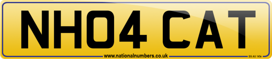NH04 CAT