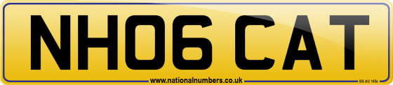 NH06 CAT