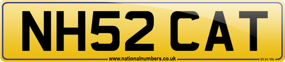 NH52 CAT