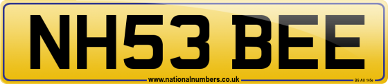NH53 BEE