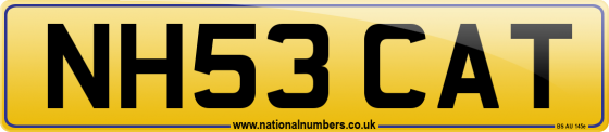 NH53 CAT