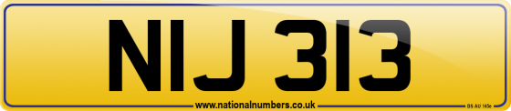 NIJ 313