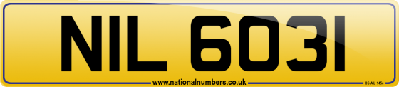 NIL 6031