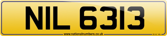 NIL 6313