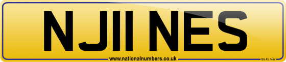 NJ11 NES