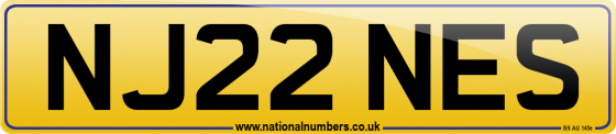 NJ22 NES
