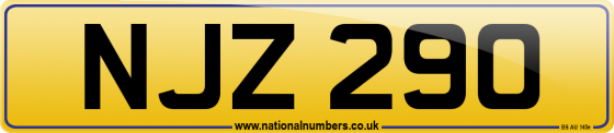 NJZ 290