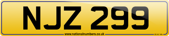 NJZ 299