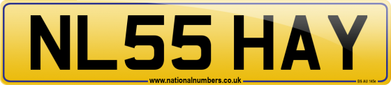 NL55 HAY