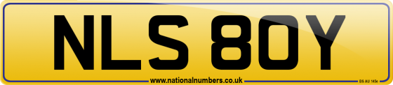 NLS 80Y