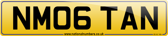 NM06 TAN