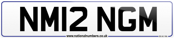 NM12 NGM