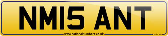 NM15 ANT