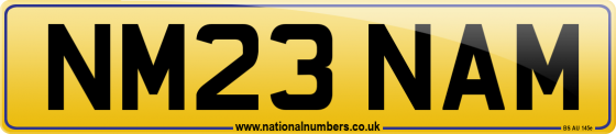 NM23 NAM