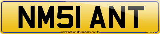 NM51 ANT