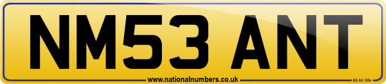 NM53 ANT