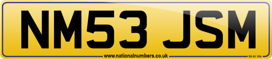 NM53 JSM