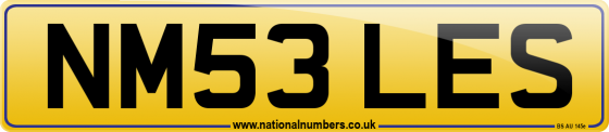 NM53 LES