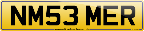 NM53 MER
