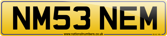 NM53 NEM