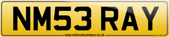 NM53 RAY