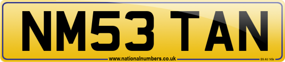 NM53 TAN
