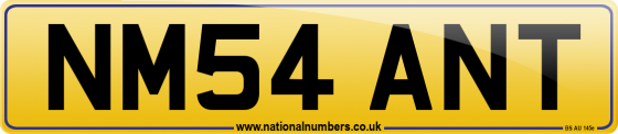 NM54 ANT