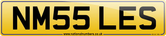 NM55 LES