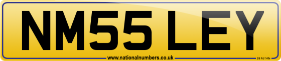 NM55 LEY