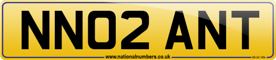 NN02 ANT