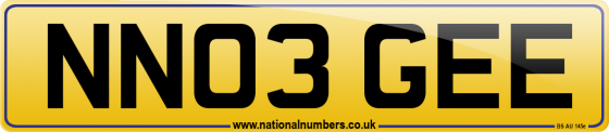 NN03 GEE