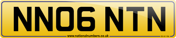 NN06 NTN