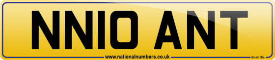 NN10 ANT