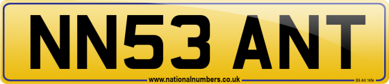 NN53 ANT