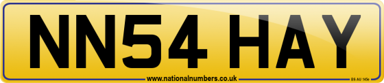 NN54 HAY