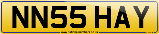 NN55 HAY