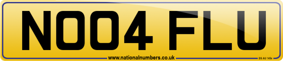 NO04 FLU