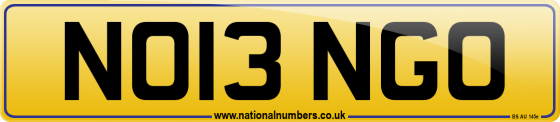 NO13 NGO