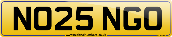 NO25 NGO