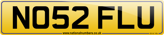 NO52 FLU