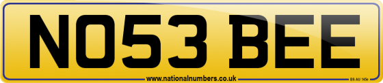 NO53 BEE