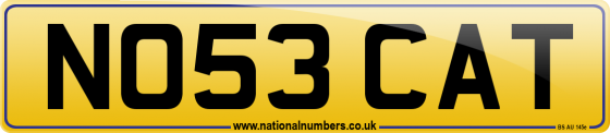 NO53 CAT