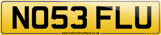 NO53 FLU