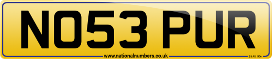NO53 PUR