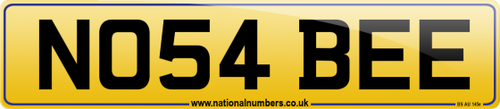 NO54 BEE