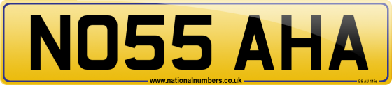 NO55 AHA