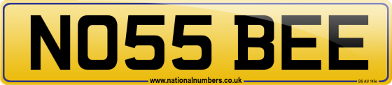 NO55 BEE