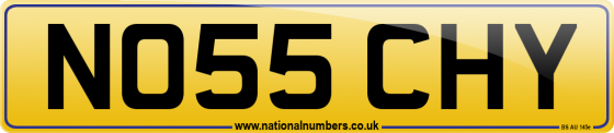 NO55 CHY